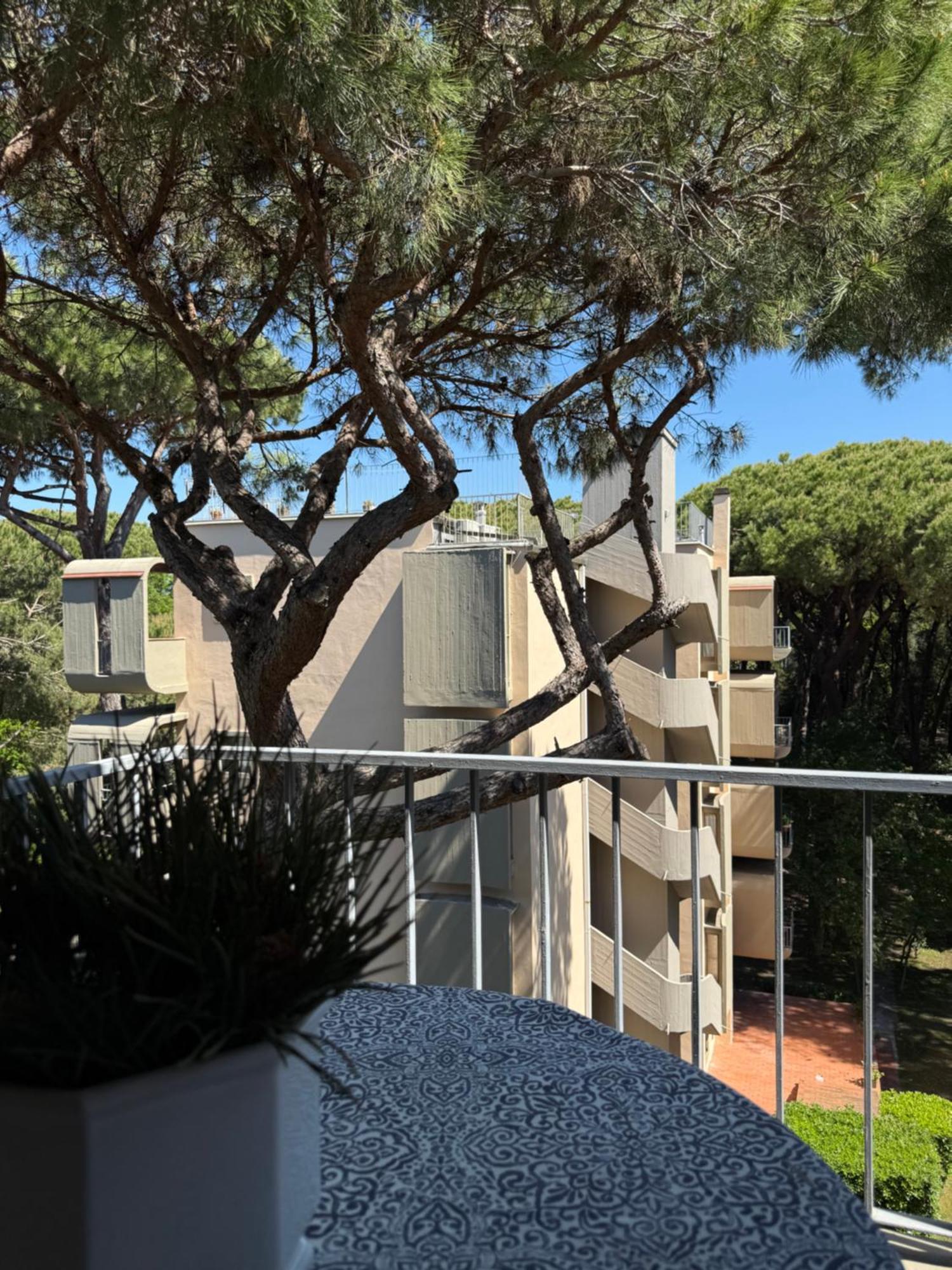 Ferienwohnung La Terrazza Del Pino Torre del Lago Puccini Exterior foto